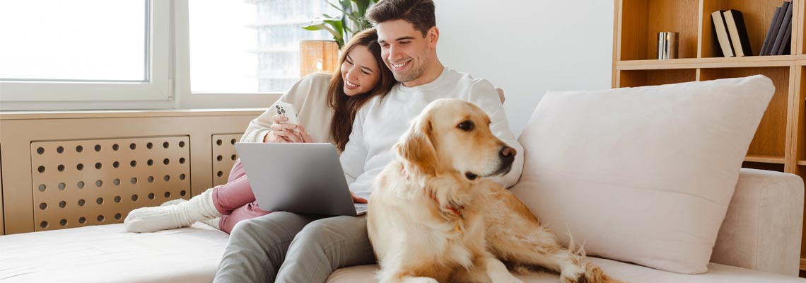 happy young couple using laptop while sitting together on sofa with their dog