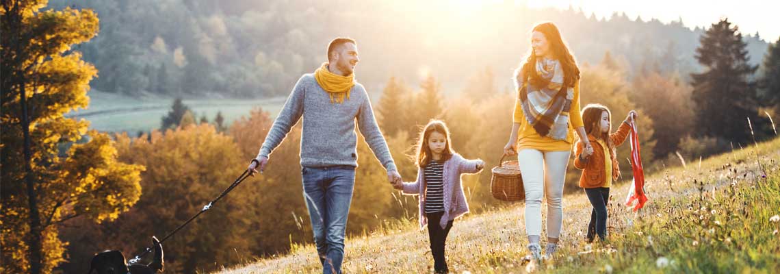 A young family with two small children and a dog on a walk on a meadow at sunset