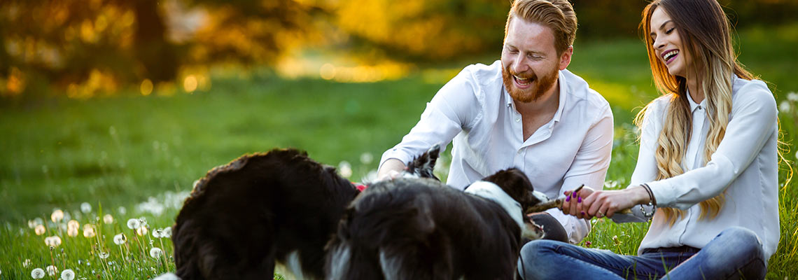 Couple playing with their dogs in the park